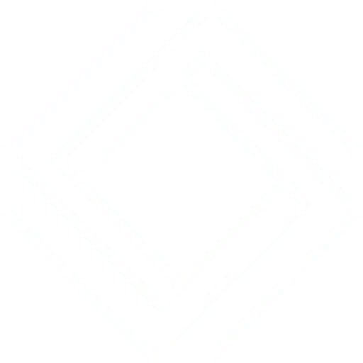 Custom AI Solutions